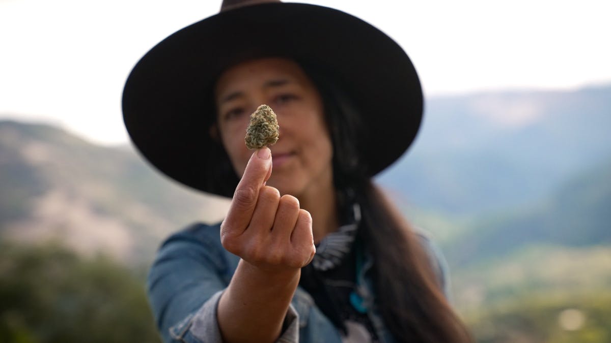 What’s at stake for Humboldt County’s legacy farms? New docuseries spotlights growers image