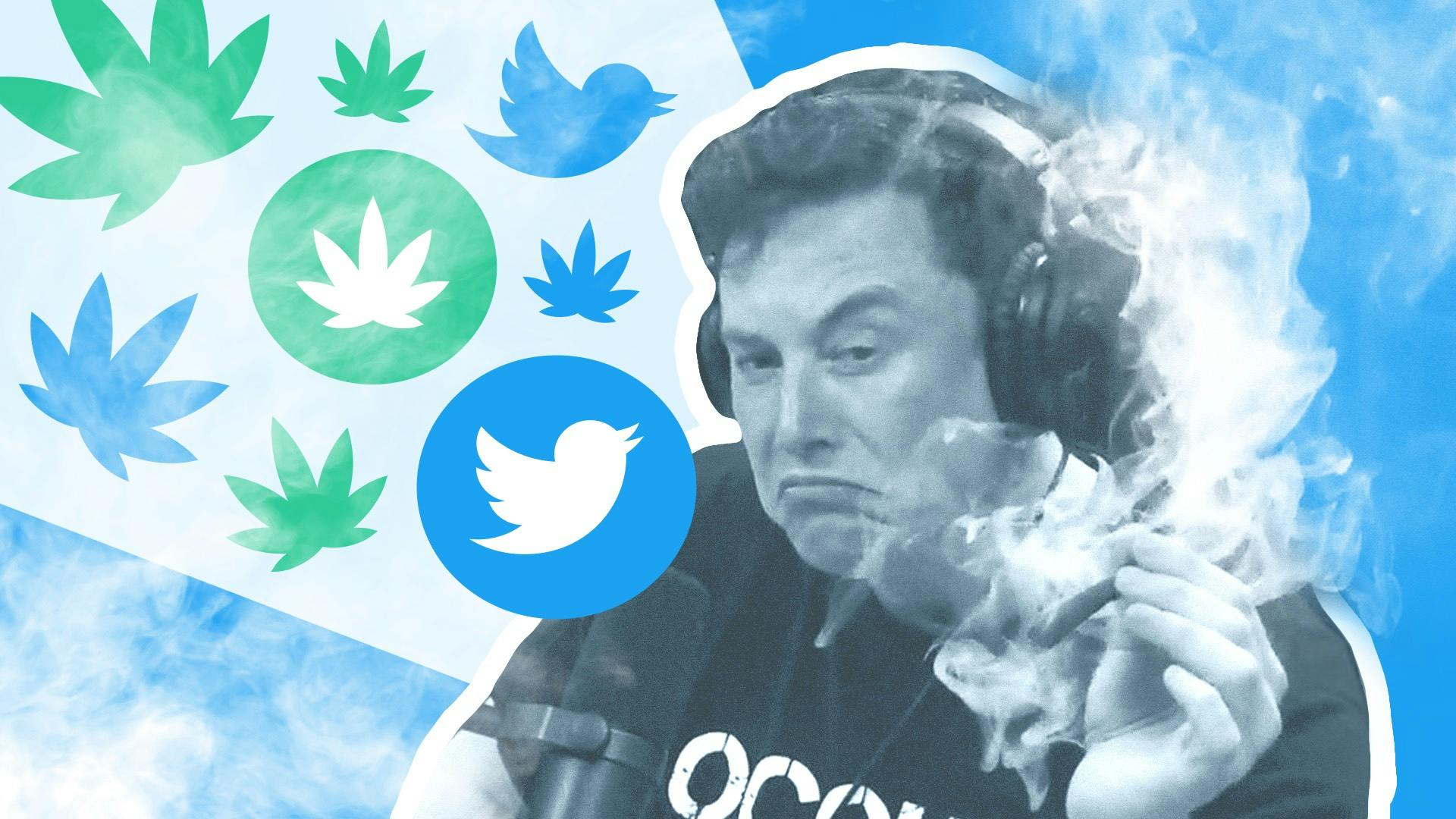 Could Elon Musk’s Twitter end the cannabis social media ban? image