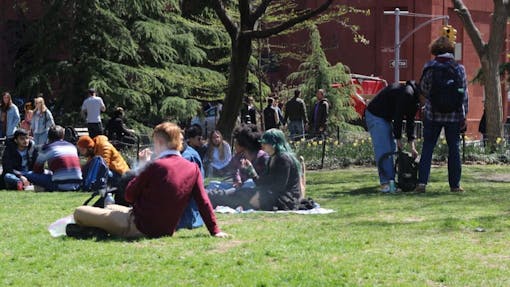 Washington Square park, NYC's 420 weekend melting pot. (Meg Schmidt)