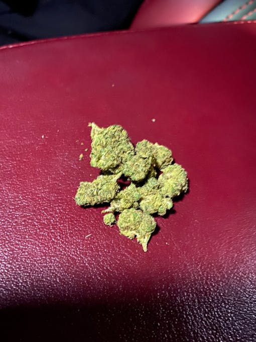 Pakistani Chem smalls, grown by Good Green (Green Thumb Industries) and sold at RISE dispensaries in New Jersey.