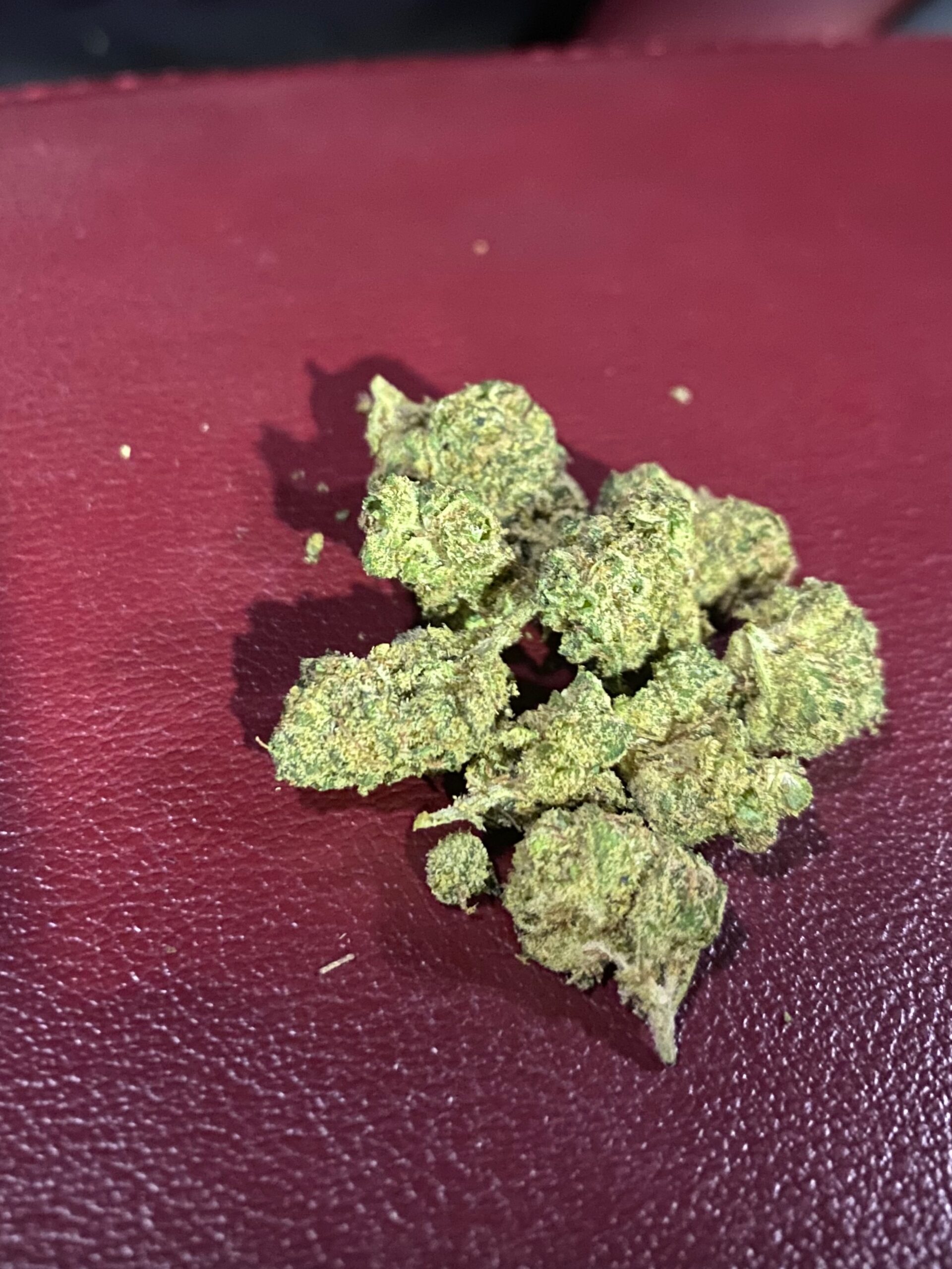 Pakistani Chem Smalls, angebaut von Good Green (Green Thumb Industries) und verkauft in RISE-Apotheken in New Jersey. (Tash Patwary, Leafly)