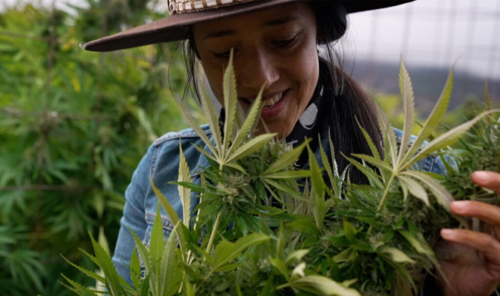 Humboldt County documentary series