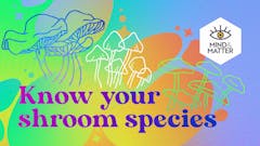 illustration-of-magic-mushroom-strains