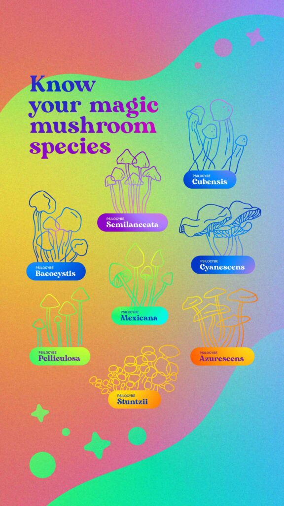 illustration-of-mushroom-strains