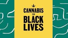 Cannabis for Black lives logo on Leafly green background with white abstract lines