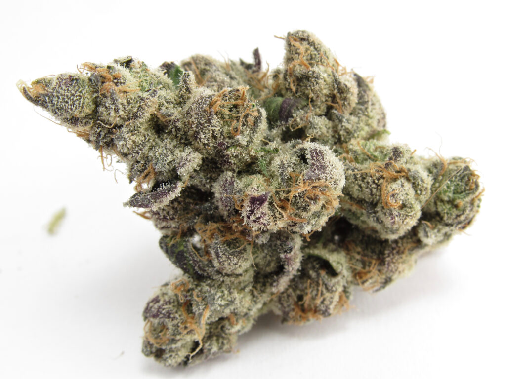 Georgia Apple Pie grown by Sense SF (David Downs/Leafly)