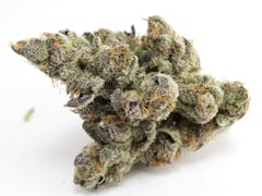 Georgia Apple Pie grown by Sense SF (David Downs/Leafly)