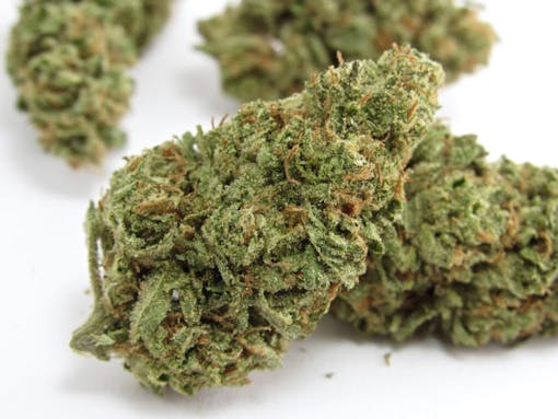 Ladybug Herbal Sanctuary OMG via Flore dispensary San Francisco. (David Downs/Leafly)