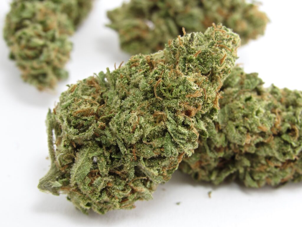 Ladybug Herbal Sanctuary OMG via Flore dispensary San Francisco. (David Downs/Leafly)