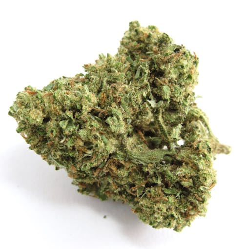 Mattole Valley Organics Jack Herer; via Flore dispensary. Sativa fo the divas. (David Downs/Leafly)