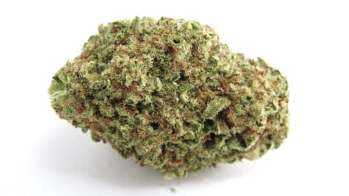 Papaya Punch from Brother David's via High Tides in Gualala, CA. Hybrid. (David Downs/Leafly)