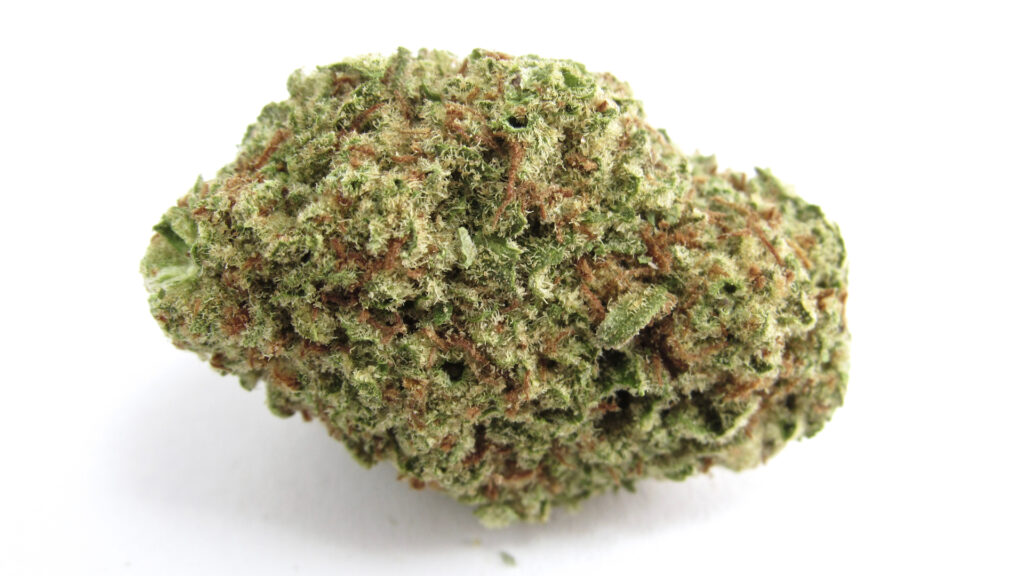 Papaya Punch from Brother David's via High Tides in Gualala, CA. Hybrid. (David Downs/Leafly)