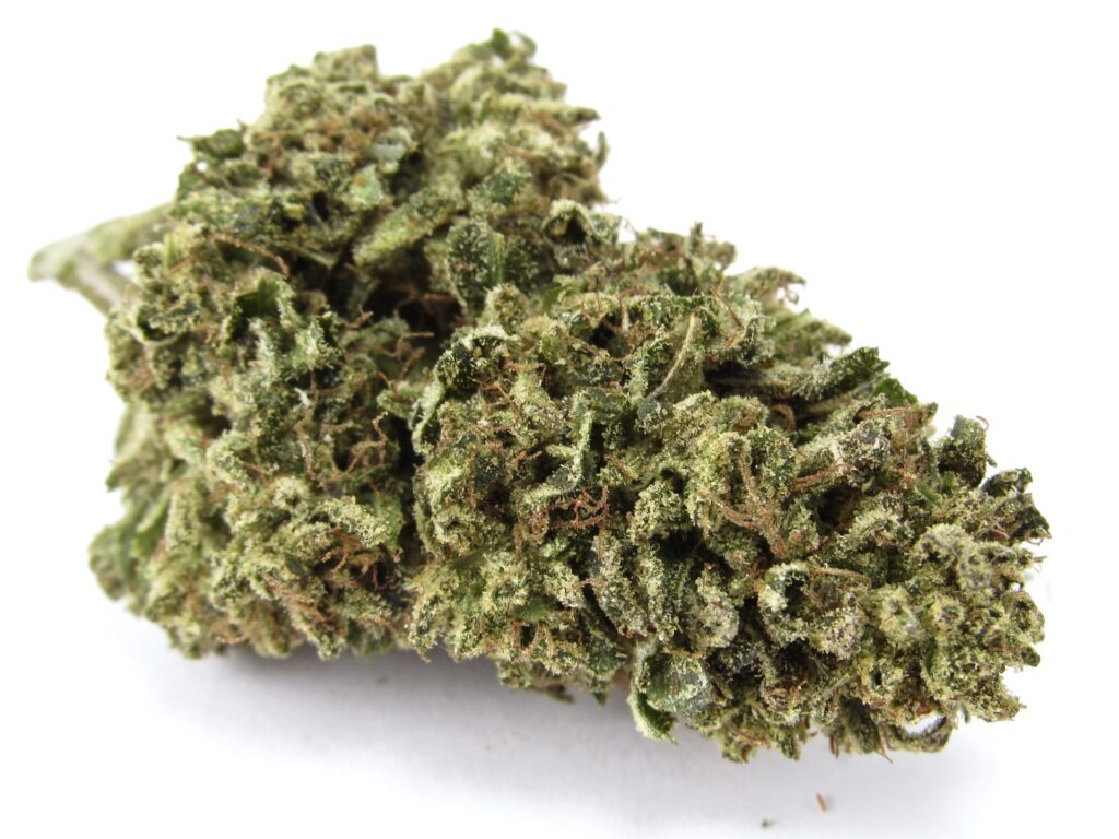 Rimrock Farms Candyland via The Green Cross SF (David Downs/Leafly).