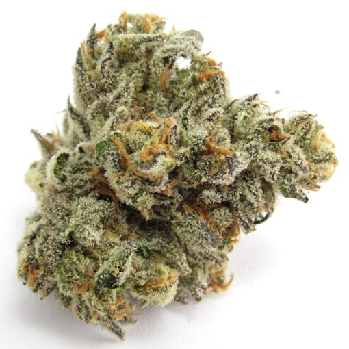 Compound Genetics Stay Puft, grown by Sense SF. (David Downs/Leafly)