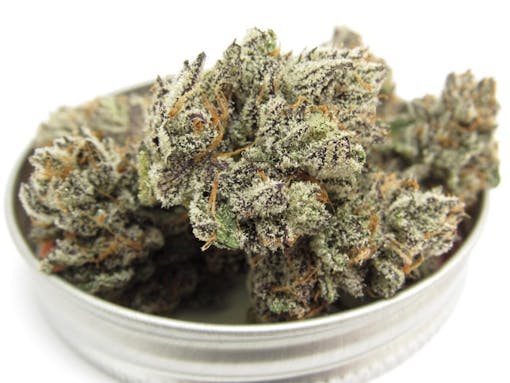 White Truffle grown by 'Snowtill' in the Bay Area. (David Downs/Leafly)