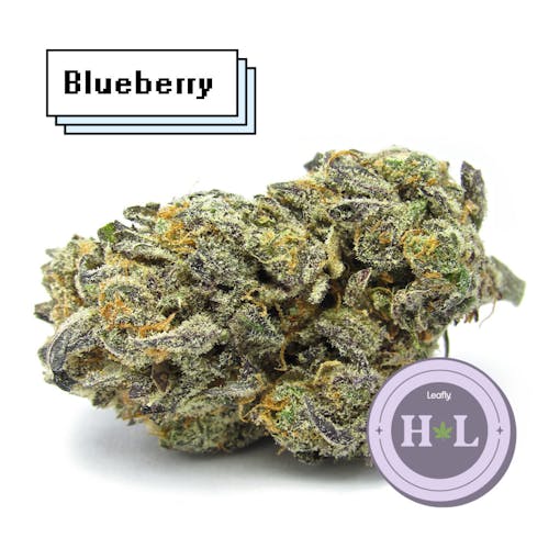 (David Downs/Leafly)