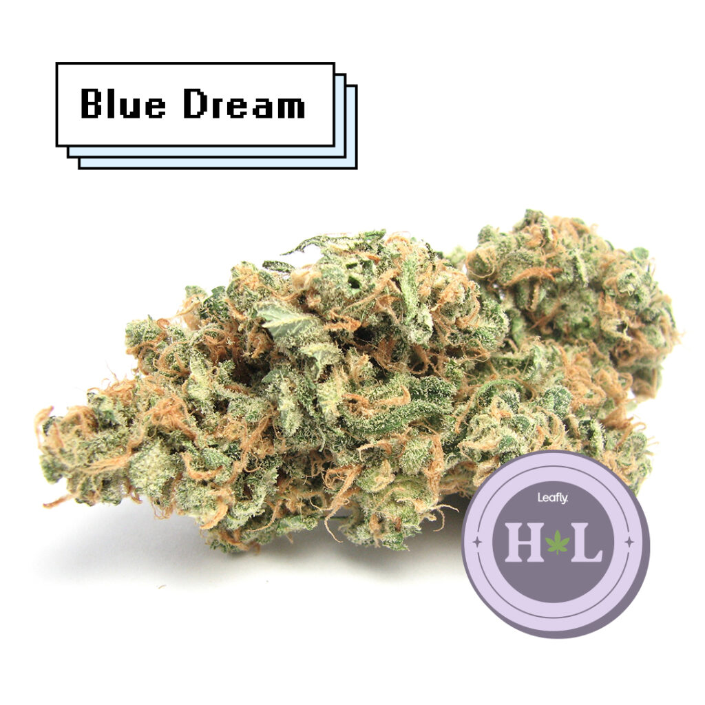 Hate Us Because They Are Not Us: Blue Dream is a Hall of Flame strain. (David Downs/Leafly)