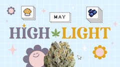Each month, Leafly highlights a popular, trending strain you should know about—we call it Leafly HighLight. This month: Blueberry Muffins in every bowl.