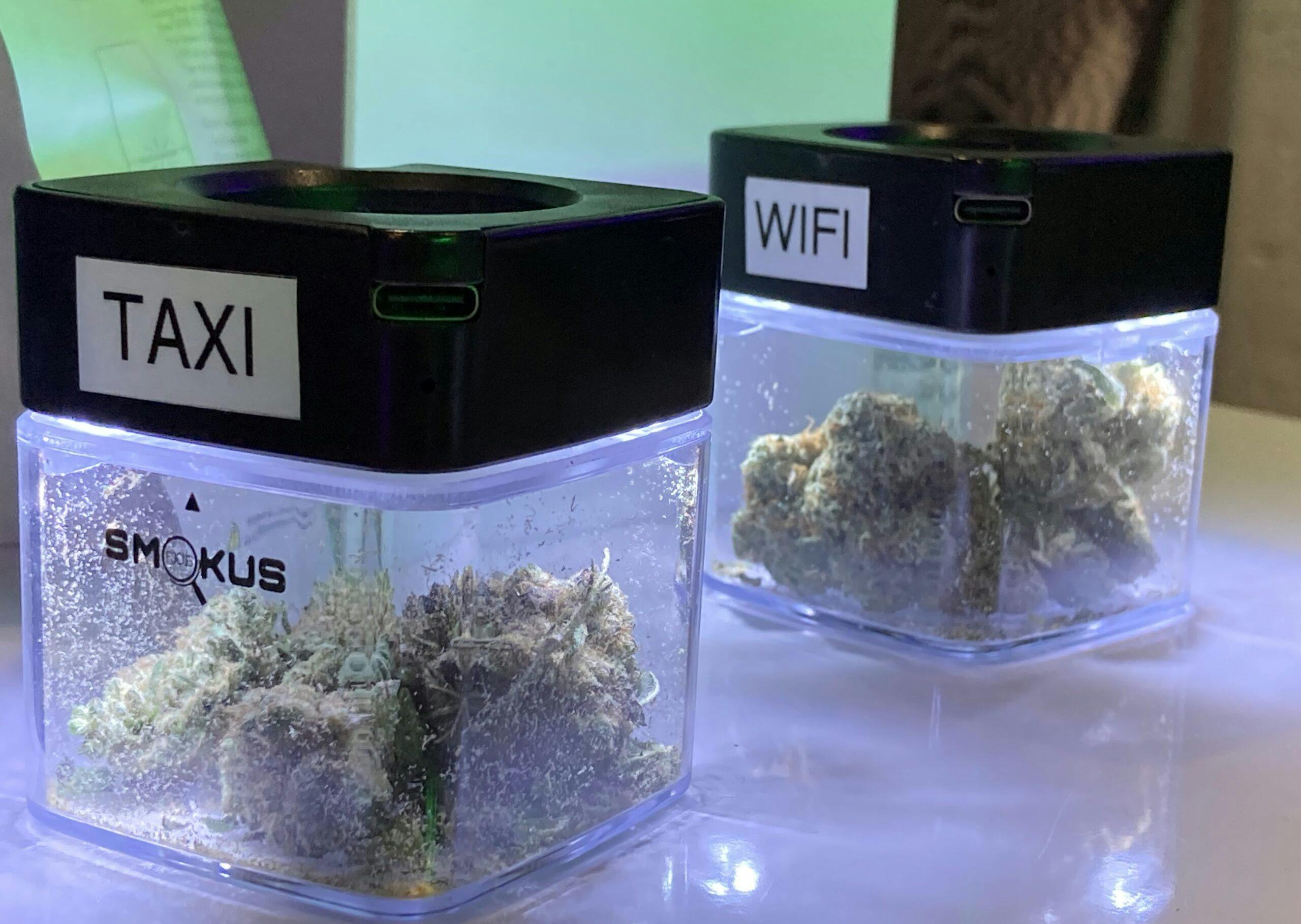 Go inside NYC’s secret weed shops: Fire strains and hidden lounges image