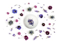 Coda's signature bath bomb in Colorado keeps things mild at 15 mg THC. (Courtesy Coda)