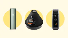 best dry herb vapes