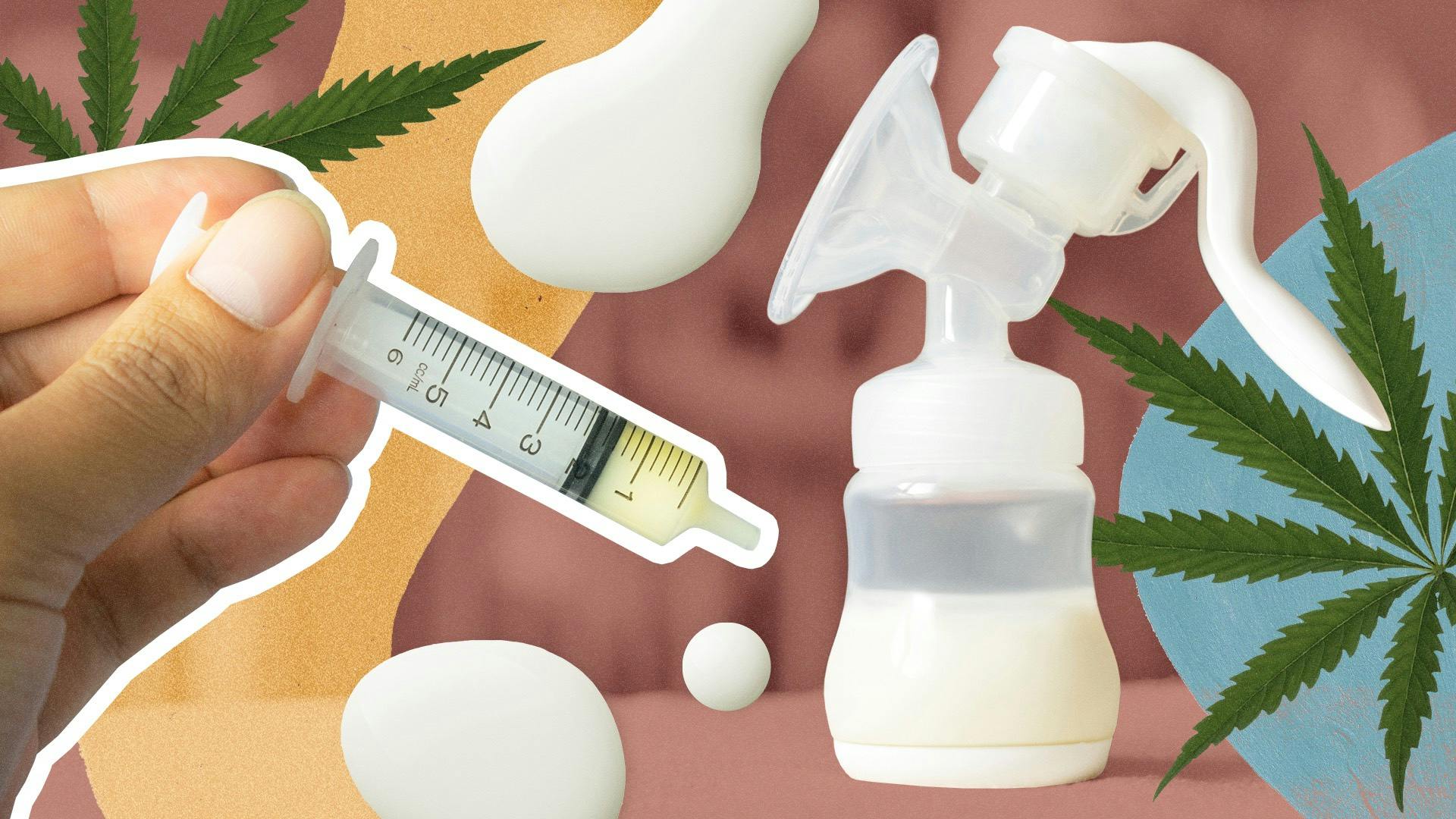 I tested my breastmilk for THC. Here's what I found image