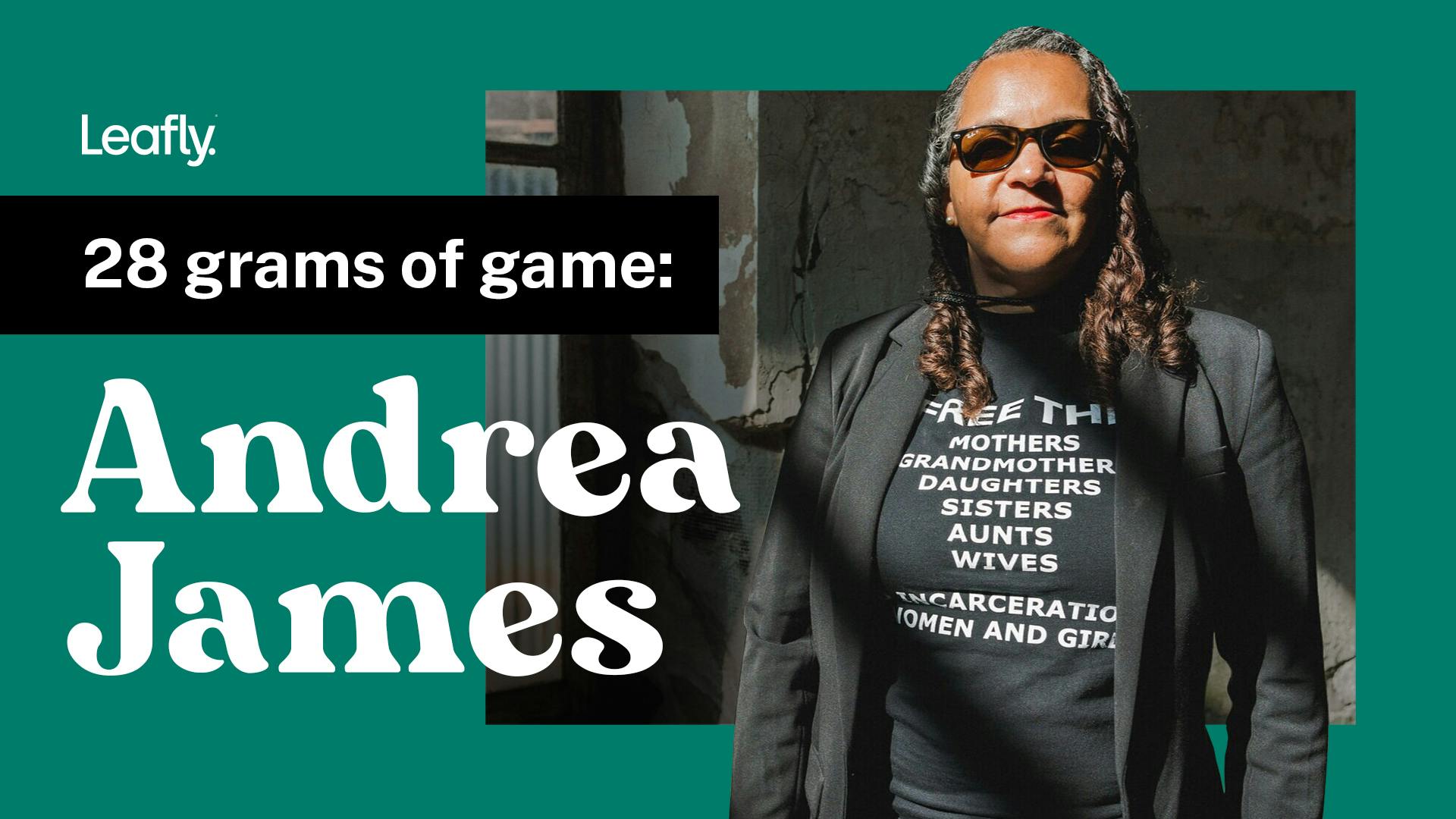 28 grams of game: Andrea C. James image