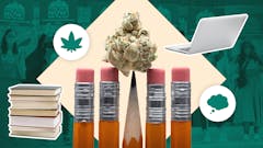 Green background with pencils, computers, and cannabis illustrations