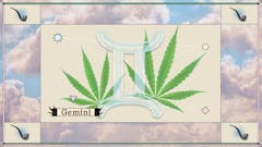 dual cannabis plants with clouds and the Gemini sign