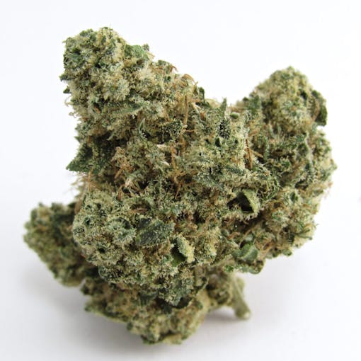 Exotic Genetix Slapz (David Downs/Leafly)