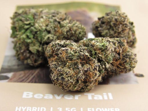 Burb Beaver Tail (David Downs/Leafly)