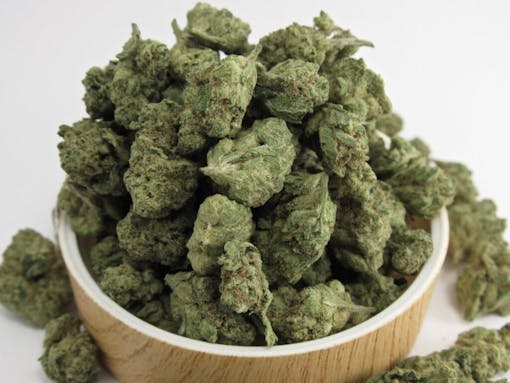 Autumn Brands GMOG smalls (David Downs/Leafly)