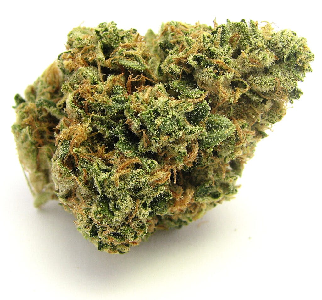 OG Kush (David Downs/Leafly)