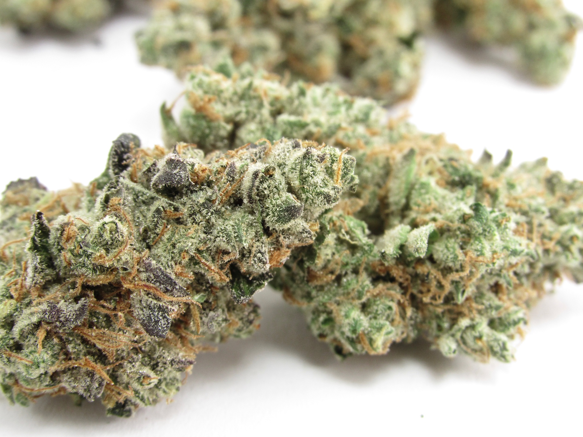A List of the Best Weed Strains in Michigan
