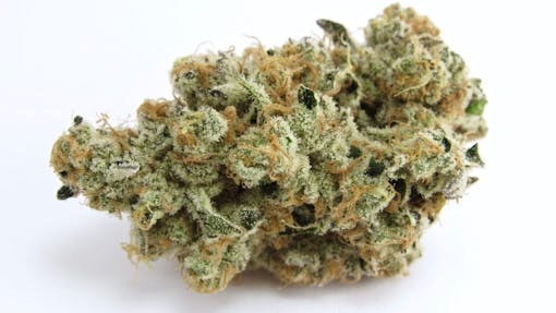 In-House Genetics' Platinum Kush Breath makes perfect sense. Grown by Sense SF. (David Downs/Leafly)