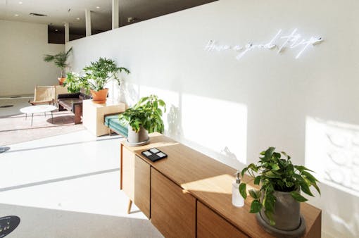 white wall, long wooden cabinets with potted plants