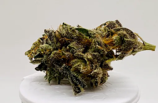 green weed nug on white background