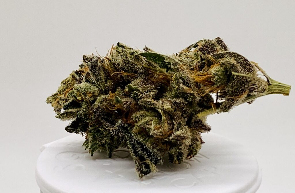 green weed bud on white background