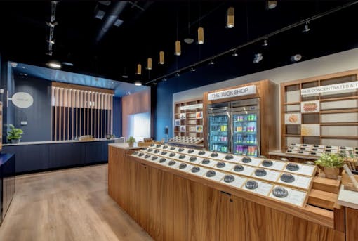 interior shot of large dome-shaped magnifying glasses set into long counter and fridge behind