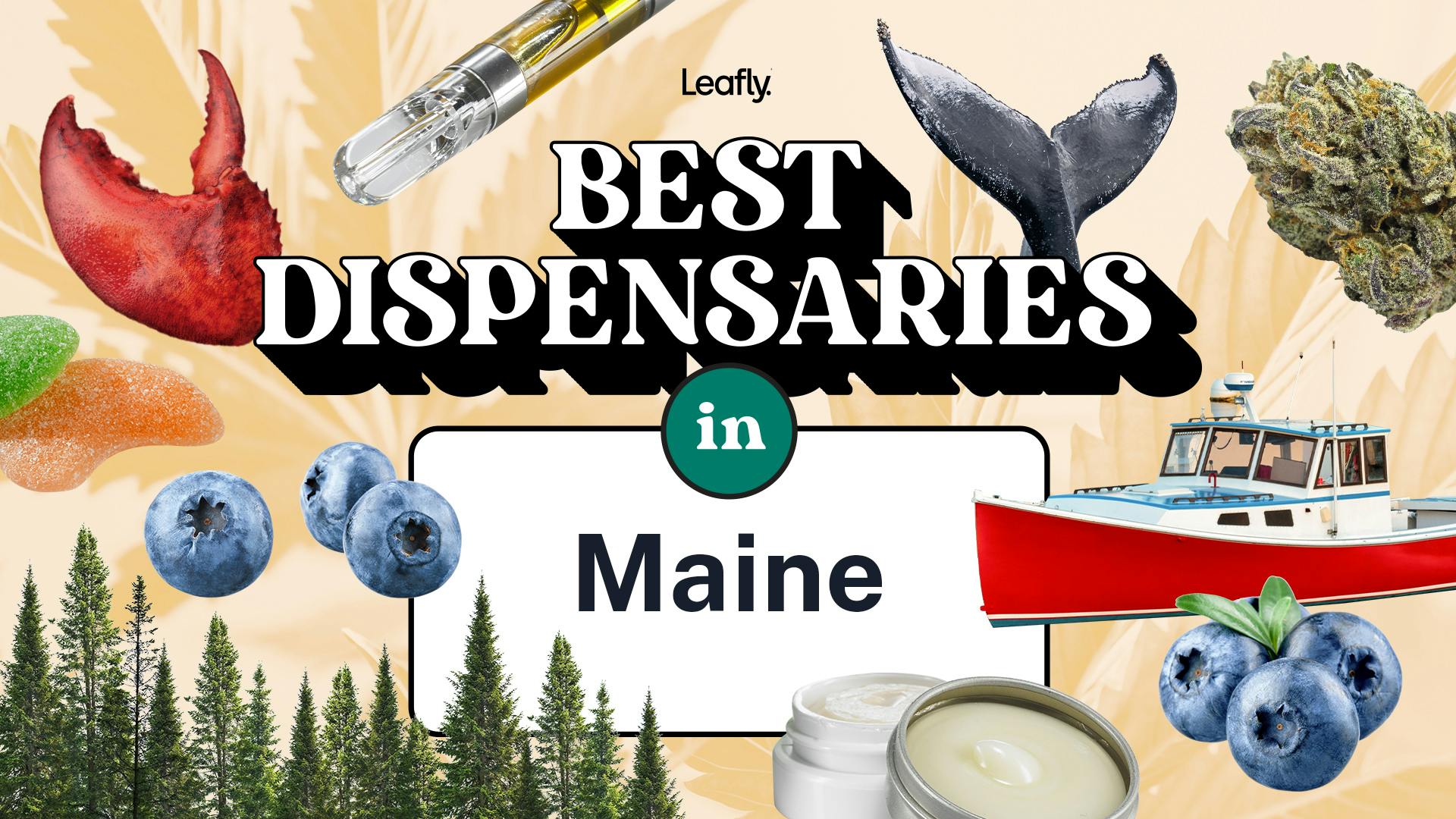 Best Rated Dispensaries in Maine 2024 image