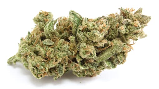 The judges no longer agree on what a sativa is, but gelonade? We can agree on that. (David Downs/Leafly)