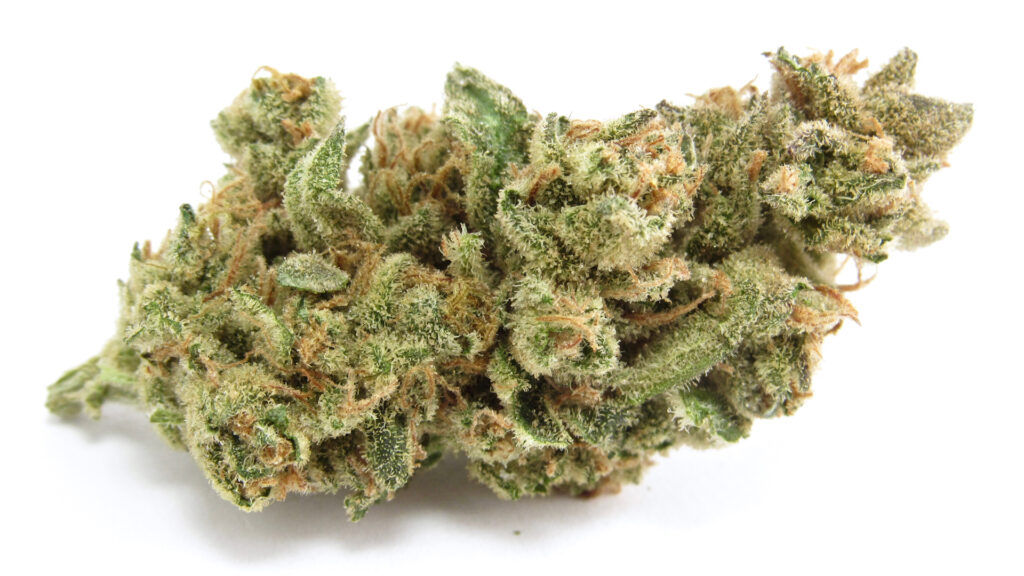 The judges are no longer in agreement on what a sativa is, but Gelonade? We can agree on that. (David Downs/Leafly)