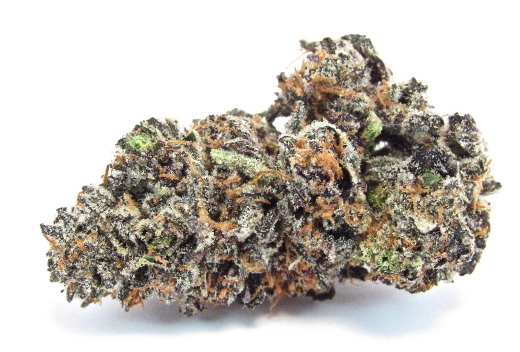 CRAFT Connected Guava Biscotti (David Downs/Leafly)