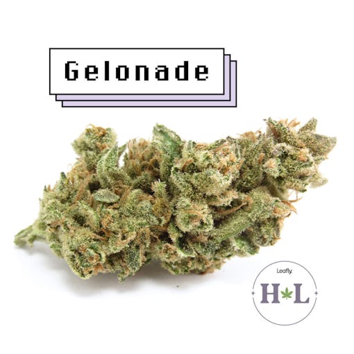 Gelonade, one of the few things we can all agree on. (David Downs/Leafly)