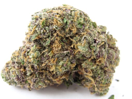 Zoap combines two of Deo Farms’ OZ Kush breeding projects – Rainbow Sherbet V2 x Pink Guava #16 F2. (David Downs/Leafly)