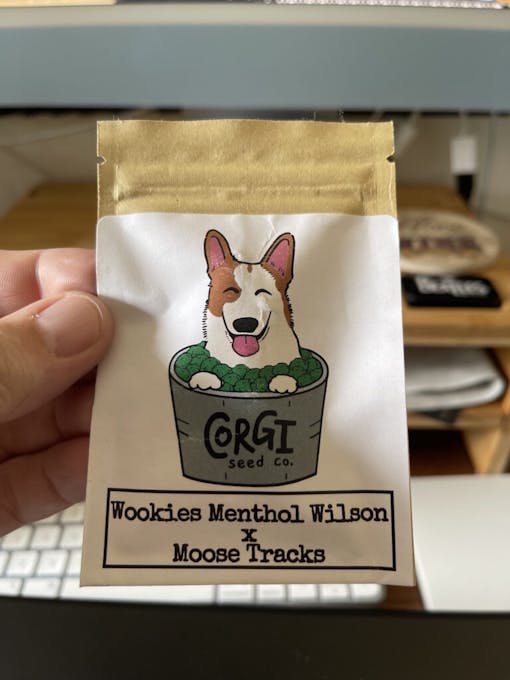 masonic seeds purchase: a bag of seeds with a corgi on it