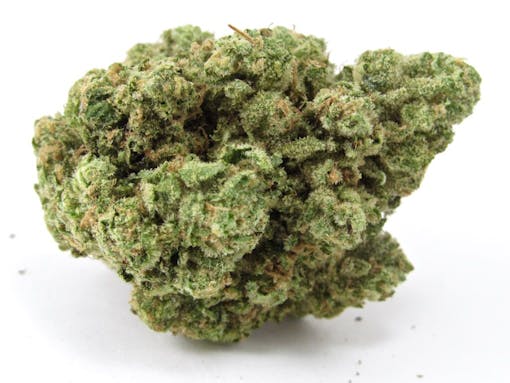 Cali Kush Farms' Karma's Zowahh (David Downs/ Leafly)