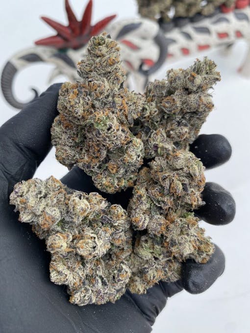 Compound Genetics Red Bullz. (Courtesy Compound Genetics)