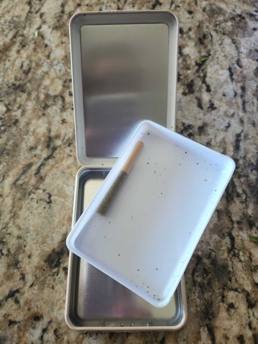 Divvy's removable plastic cannabis tray