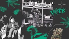 Jack Herer is the godfather of modern cannabis. (Leafly)